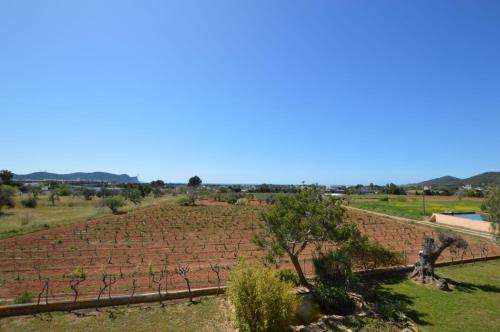 a view of a farm field with trees at Cas Torres in Sant Jordi