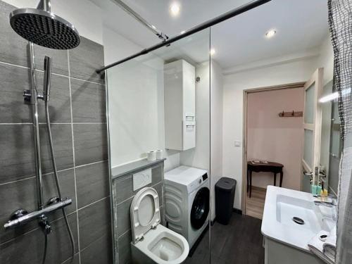 une salle de bain avec une douche, des toilettes et un lavabo dans l'établissement C029-Appartement spacieux a deux pas de la Croisette, à Cannes