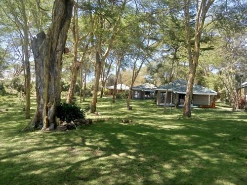 ein Haus inmitten eines Gartens mit Bäumen in der Unterkunft Elsamere Lodge Naivasha in Naivasha