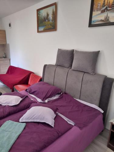 ミシュコルツにあるGábor -lak 2のリビングルームにある枕が置かれたソファ