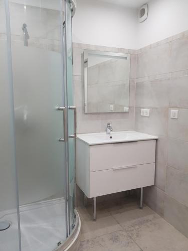 une salle de bain avec un lavabo et une douche en verre dans l'établissement Maison T2 500m de la plage, à Poggio-Mezzana