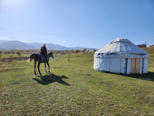 a person riding a horse in front of a yurt at Юрта 6-канатная in Türgen