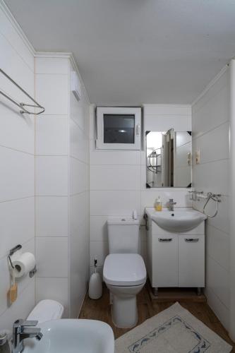 a white bathroom with a toilet and a sink at MIMOZA2 in Novi Vinodolski