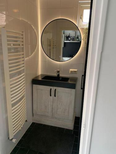 a bathroom with a sink and a mirror at Bosrijke vrijstaande woning in Heiloo