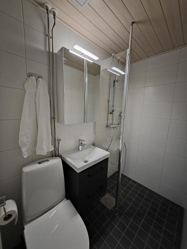 y baño con aseo, lavabo y ducha. en New central home, en Kuusamo