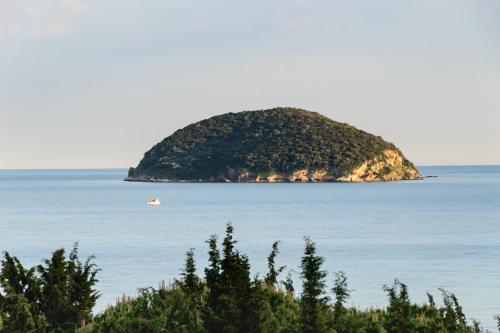 Gallery image of Opalio seaview apartment in Paleo Tsifliki