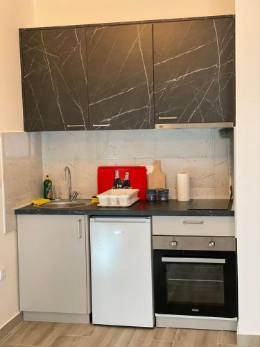 David Apartmentsにあるキッチンまたは簡易キッチン
