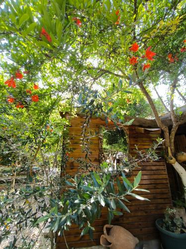Giardino di Litost Cafe