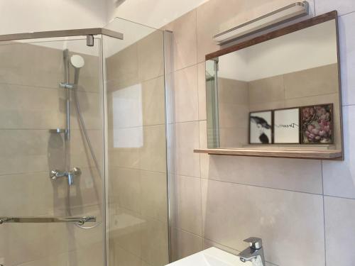 a bathroom with a shower and a sink and a mirror at SALON des Fleurs Linz-Landstrasse in Linz