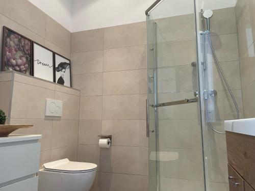 a bathroom with a toilet and a glass shower at SALON des Fleurs Linz-Landstrasse in Linz