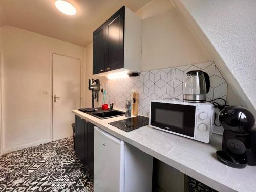 une cuisine avec un comptoir avec un micro-ondes dans l'établissement Appartement 2 prsn Au pied de la Citadelle, à Besançon