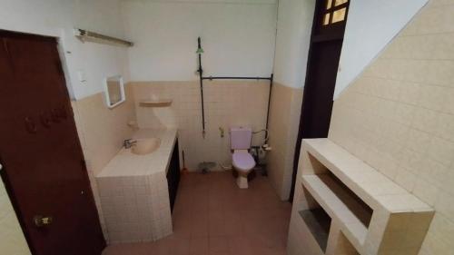 baño con aseo rosa y lavamanos en Hotel City Light Budget en Colombo
