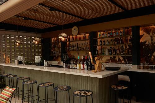 a bar with a teddy bear sitting on a counter at Celestino Boutique Hotel & Spa in Medellín