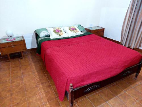 1 dormitorio con 1 cama con manta rosa en Hospedaje La Gringa en Tinogasta