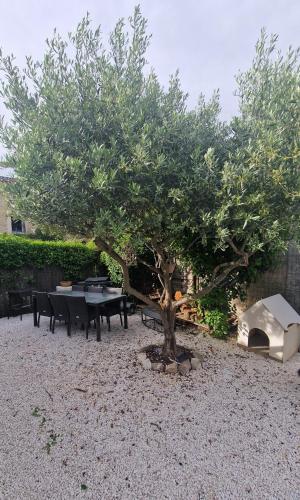 Taman di luar Parenthèse caumontoise .