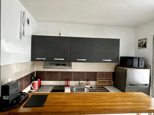 La cuisine est équipée de placards noirs et d'un réfrigérateur en acier inoxydable. dans l'établissement Castel de Roches, à Saint-Gervais-les-Bains
