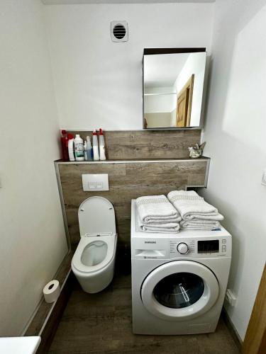 une salle de bain avec machine à laver et toilettes dans l'établissement Castel de Roches, à Saint-Gervais-les-Bains