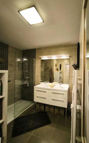 une salle de bain avec un lavabo et une douche dans l'établissement Le jardin d'Aix-en-Provence, à Aix-en-Provence