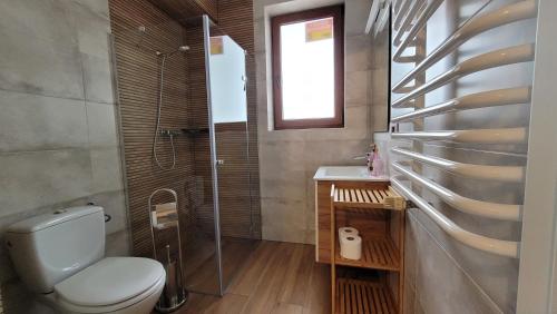 uma casa de banho com um WC, um chuveiro e um lavatório. em Amber em Mrzeżyno