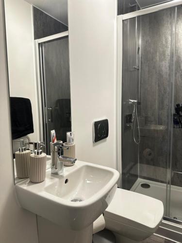 謝菲爾德的住宿－Stylish Central Retreat，白色的浴室设有水槽和淋浴。