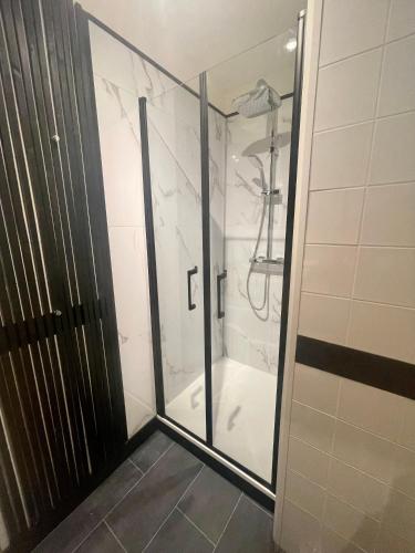une douche avec une porte vitrée dans une salle de bain dans l'établissement appartement Feydeau's friends, à Nantes