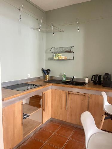une cuisine avec un évier et un plan de travail dans l'établissement appartement Feydeau's friends, à Nantes