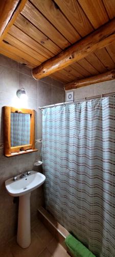 a bathroom with a sink and a shower curtain at Cabañas Clarita in Dina Huapi
