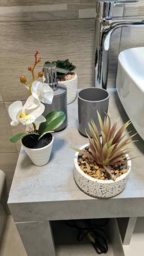 a table with pots and plants on top of it at CASA VACANZA PARADISO in Manfredonia