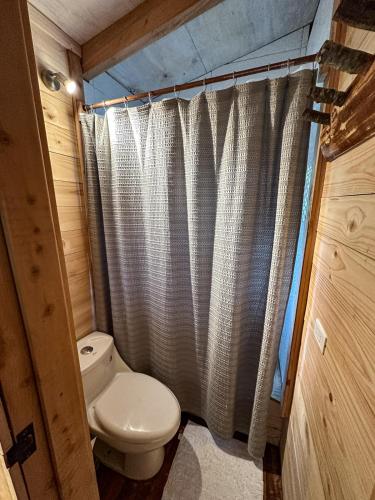 a bathroom with a toilet and a shower curtain at Puelo Libre in Llanada Grande