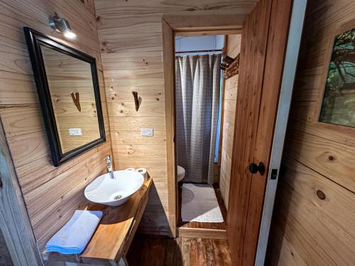 uma casa de banho com um lavatório e um espelho em Puelo Libre em Llanada Grande