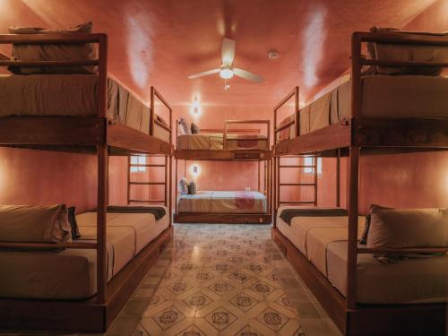 a room with three bunk beds in a room at Casa Amate 61 Boutique Hostel in Mérida