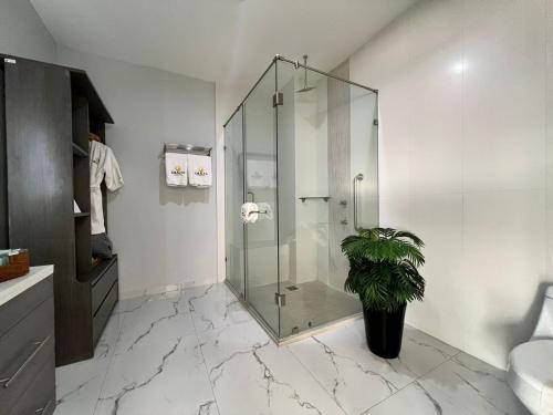 a bathroom with a glass shower with a potted plant at Hotel GRALTA in Jalostotitlán