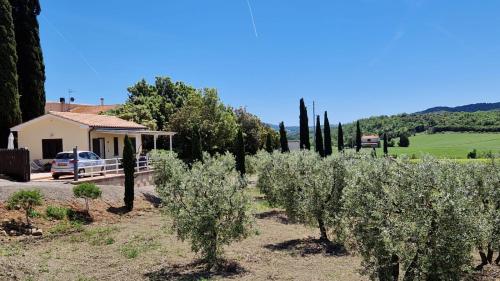 a garden of olive trees in front of a house at Agriturismo Il Poggio Rosso di Maremma in Manciano