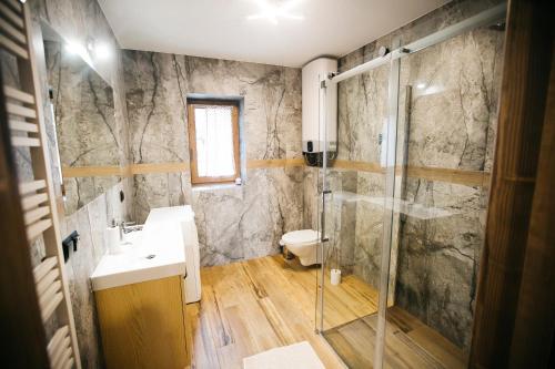 uma casa de banho com um chuveiro, um lavatório e um WC. em Apartamenty Rogoża em Rogożnik