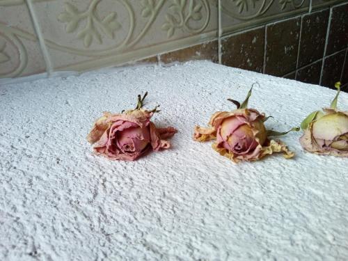 a group of three dead flowers on the floor at Posada del Dulce Sueño in Mojares