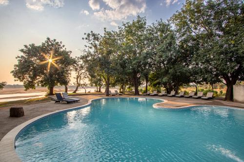 a large swimming pool with lounge chairs and trees at Mopani Safari Lodge in Mfuwe