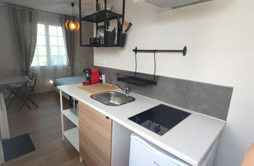 une cuisine avec un évier et un plan de travail dans l'établissement Studio jardin st jean de daye, à Saint-Jean-de-Daye