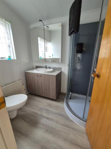 a bathroom with a shower and a toilet and a sink at Eaglerock guesthouse 2 in Kirkjubæjarklaustur