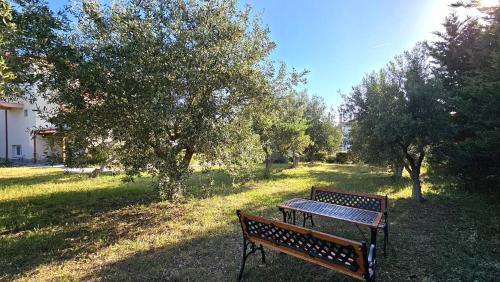 Κήπος έξω από το Alivia Garden