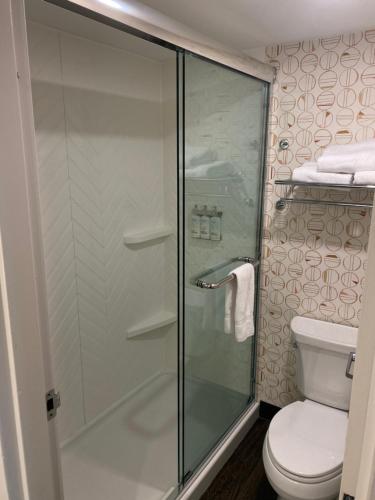 a bathroom with a glass shower with a toilet at Holiday Inn St Johns by IHG in St. John's