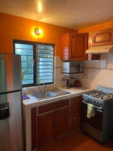 a kitchen with a sink and a stove top oven at Casa Jirafa. in Guadalajara