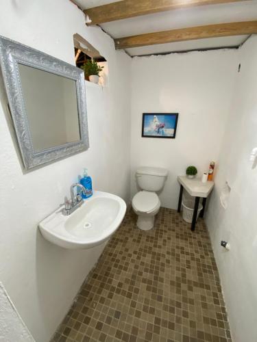 W łazience znajduje się umywalka, toaleta i lustro. w obiekcie Aloha Surf Hostel w mieście San José del Cabo