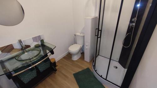 a bathroom with a glass sink and a toilet at Studio jardin st jean de daye in Saint-Jean-de-Daye