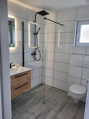 a bathroom with a shower and a toilet and a sink at Perełka Lubiatowska in Lubiatowo