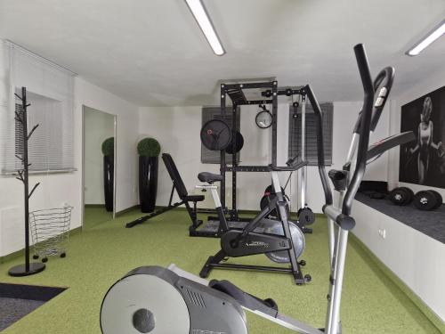 Γυμναστήριο ή/και όργανα γυμναστικής στο A&M Apartment Ahorn/Hohenstadt