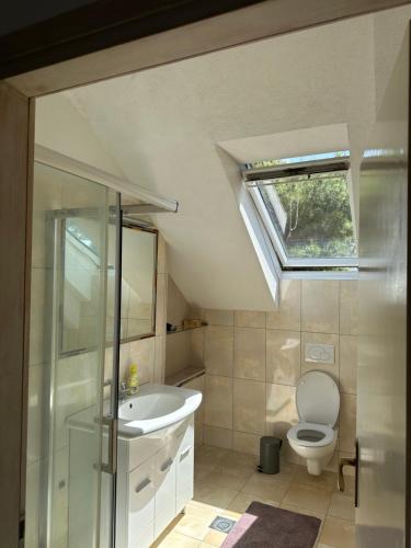 ein Badezimmer mit einem WC, einem Waschbecken und einem Dachfenster in der Unterkunft Villa Amari in Brela