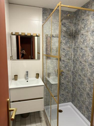 une salle de bain avec un lavabo et une douche dans l'établissement Le paradis du cap, au Cap d'Agde