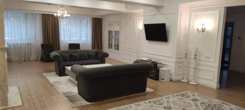 uma sala de estar com um sofá e uma televisão em Goluboy Zaliv em Borovoe