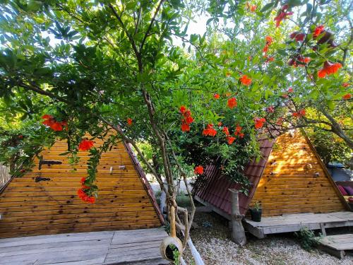 un edificio con un árbol con flores rojas. en Litost Cafe Bungalow en Adrasan
