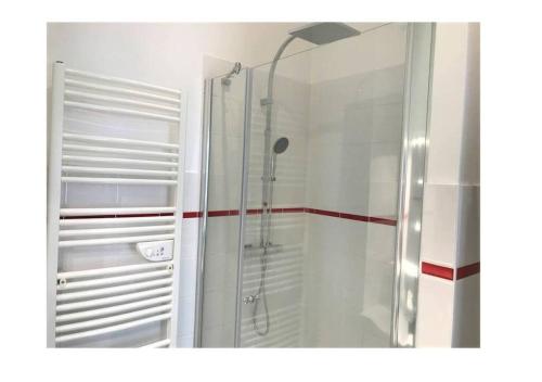 une douche avec une porte vitrée dans une salle de bain dans l'établissement Le Cours Langlet A, à Reims